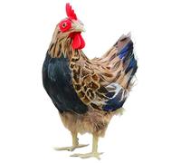 Genérico Figura de Gallina,de Gallina para Jardín de 24 centímetros,Decoración De Jardín - para el Hogar, el, la Granja, Patio, Césped, Porche, Paisajismo
