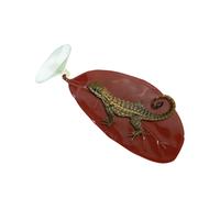 Genérico Fish Hammock Plant - Small Tank Lizard Fish Leaves | Suction Comfortable Simulated Hammock Plant | Suction Cups Realistic Comfortable For Home Dorm Office Apartment Bedroom Living Room