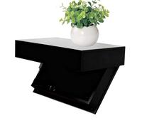 Genérico Floating Shelves - Decorative Wooden Floating Display with Secret Compartment | Secret Display Shelf Organizer for Living Room, Bedroom, Ornaments, Perfume, Plants, Home Decoration