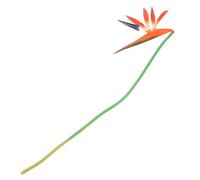Genérico Flor Artificial de Pájaro del Paraíso Naranja 55 CM Decoración Floral Realista para Hogar Planta de Simulación Resistente y Flexible Adecuado para Centros de Mesa y Arreglos