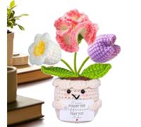 Genérico Flores de , juguete decorativo de agradecimiento para maestros con tarjeta, ganchillo - para profesores de compañeros de trabajo Estudiantes Chicos Niñas Hombres