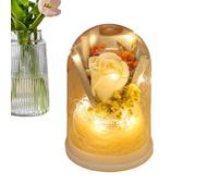 Genérico Flores Eternas, Ramo de Rosas Eternas Dentro de una Cúpula de, Flores Preservadas con Luz, Regalo para Mamá, Mujeres, Abuela, Esposa, Hija, Su Valentín, Novia, Cumpleaños, Navidad