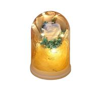 Genérico Flores Preservadas - Ramo de Rosas Eternas Dentro de - Flor Infinita con Iluminación - para Ella Regalo Mujer Cumpleaños Navidad San Valentín