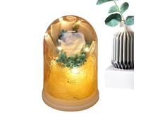 Genérico Flores Preservadas - Ramo de Rosas Eternas Dentro de una Cúpula de | Flor Infinita con Iluminación | para Regalo En San Valentín Y Navidad para Abuela Esposa Novia
