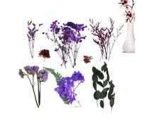 Generico Flores Secas Con - Conjunto Floral Natural Estabilizado | Suministros Coloridos Para Flores Silvestres, Kits De Decoración Botánica Para En Resina, De Boda, Jardines Domésticos, Proge