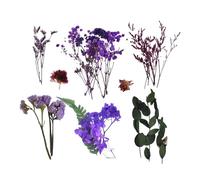 Generico Flores secas naturales - 17 x 12 x 3 cm 60 g | Flores prensadas | Kit vegetal real para manualidades, resina arte, creación y scrapbooking, decoración botánica para proyectos de bricolaje y