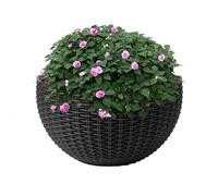 Generico Florines de Flores Colgantes de Pared - Estilo Europeo de Pared Medio, jardineras Colgantes con Orificios de Drenaje | Jardineras de Pared al Aire Libre con Ganchos para decoración de