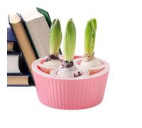 Genérico Flower Bulb Planting Container, Hydroponic Planter | Teachers Seniors Beginners Indoor Windowsill Kitchen Living Room Bedroom | 3-Hole Hyacinth Planter For Gardeners Apartment Office