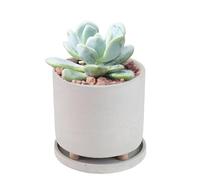 Generico Footed Pot, Indoor Planter With Tray, Plant Container For Succulents, Creative Plant Pot, Plant Pot, Small Plant Container, Home Decor Planter, Decorative Plant Pot, Pot