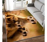 Genérico Fotografía de arte 120 x 170 cm Alfombra moderna de sala de estar, suave desierto sabana suricata, alfombra antideslizante para comedor, dormitorio, pasillo, oficina, sala de juegos