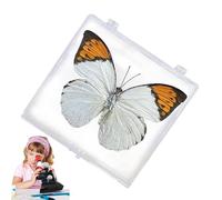 Genérico Framed Butterflies Decor, Unique Butterfly Collectable Framed, Clear Acrylic Box, Tabletop Wall Art for Home Indoor Decorations, Living Room & Lab, 10x10x2cm