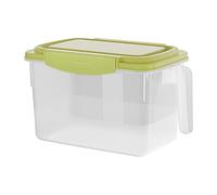 Genérico Fridge Storage - 4.5L Fruit Storage Box - 29x18x17.5cm Fresh Keeping Box, Space-Saving For Families Home Cooks Parents Office RV Restaurant Leftover Eggs Pantry Picnic Camping Apartment