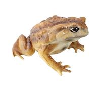 Genérico Frog Toy - Cute Animal Figure for Kids Play and Educational Learning Fun | Soft Material with Realistic Design Lightweight Handheld Toy for Imaginative Play Party Gift Use