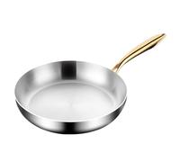 Genérico Fry Pan, Steel Skillet, Cooking Utensil, Non-Slip Handle, 9.45x9.45x9.45 inches, Stainless Material, Heavy Duty, Compact Design, Small, for Household, Kitchen, Home, Stove, Enthusiast