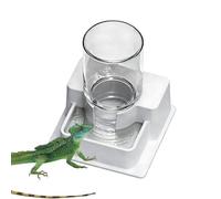 Genérico Fuente de Agua de Dragón Barbudo,Plato Automático de Reptiles - Plato de Agua de Dragón Barbudo y Fuente de Tortugas | para Alimentación E Hidratación De Tortugas, Lagartos,