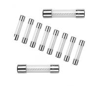 Genérico Fusible de Vidrio de acción Lenta (5 x 20 mm) de 250 V, 0,1 A, 0,2 A, 0,5 A, 1 A, 2 A, 3 A, 3,15 A, 4 A, 5 A, 6 A, 7 A, 8 A, 10 A, 12 A, 15 A, 20 A, 30 A.(T15A,B_6X30MM_100PCS)