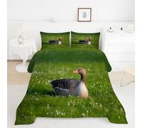 Genérico Ganso Común Edredon Cama 150, Estilo Documental Natural Juego de Cama de Microfibra, 1 Nordico 240x220 y 2 Fundas, Ligero y Suave, 4 Estaciones TY761