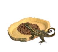 Genérico Gecko Feeding Ledge - PVC 11x8x1cm | Simulation Food Cups Feeder | Funny Reptile Feeding Dish Accessory For Chameleon Bearded Dragon Lizards Terrarium Care and Daily Pet