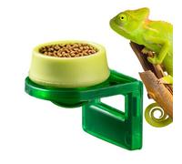 Generico Gecko Food Dish, Adhesive Terrarium Feeder Bowl, Mini Reptile Feeding Dish for Lizards And Amphibians, Sturdy Single Pack, Suction Cup Bowl for Arboreal Pets, Iguanas, Anoles