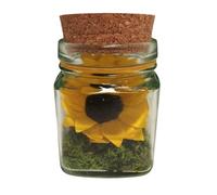 Genérico GiIRASOL PRESERVADO Natural Mini. Autentico Girasol estabilizado. Cubo de Vidrio. Musgo Decorativo. Flor Girasol Natural Eterno. Girasoles eternos. Flor preservada.