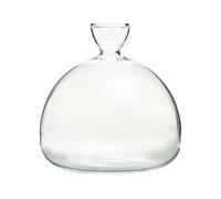 Genérico Glass Plant Vase - Clear Glass 14x14x4.5cm | Elegant Tree Growing Vase Avocado Propagation Pot Hydroponic Plant Container Decorative Glasss Plants Pot For Gardening Home Office Use