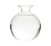 Genérico Glass Plant Vase - Clear Glass 14x14x4.5cm | Elegant Tree Growing Vase Avocado Propagation Pot Hydroponic Plant Container Decorative Glasss Plants Pot For Gardening Home Office Use