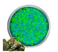 Genérico Glow Garden Stones, Pebble Decor Set, 500 Piece Colorful Rock Kit, Outdoor Yard Pathway, Aquarium Fish Tank Craft Use, Night Glow Landscape for Garden Pond Walkway Art 0.31 0.43in
