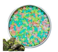Genérico Glow Garden Stones, Pebble Decor Set, 500 Piece Colorful Rock Kit, Outdoor Yard Pathway, Aquarium Fish Tank Craft Use, Night Glow Landscape for Garden Pond Walkway Art 0.31 0.43in