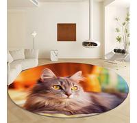 Genérico Grey Round Area Rug, Soft Low Pile Machine Washable Carpet - Non Slip Faux Wool Photography Style Animal Cat Rugs for Living Room Bedroom Dining Room Office Home Decor Diameter 100 cm