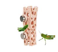 Genérico Hábitat de la araña saltarina - Imán Impreso en 3D | Refugio para Gecko, Entorno Natural Seguro para Reptiles, Ranas anfibias, terrario magnético, ocultación de Escalada, colocación versátil