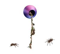Genérico Hábitat para Araña Saltarina Decoración Magnética Impresa en 3D