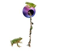 Genérico Hábitat para Reptiles | con Cuerda de Escalada Magnética | Cueva de Tarántulas Arborícolas | para Trepar, Descansar, Reproducción, Enriquecimiento, Gecko, Rana y Mantis Religiosa