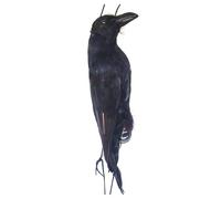 Genérico Halloween Crow Decorations - Black Bird Decor - Black Foam Crow Crow 44 cm con realidades realistas, fácil de limpiar reutilizable para Halloween Party interior al aire libre