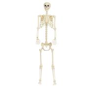 Genérico Halloween Skeleton Decorations, Movable Realistic Full Size Skeleton Prop, Poseable Holiday Decor for Outdoor Standing, Bathing Scene, Graveyard Display, Yard or Courtyard, 5.91 Feet
