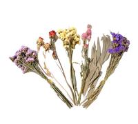 Genérico Hamster Flower Bedding - Enrich Small Pet Comfort, Natural Decorative Blossom Design, Soft Fibre + Dust-Free Material, Eco-Friendly Certified Construction, For Gerbils & Indoor Habitats