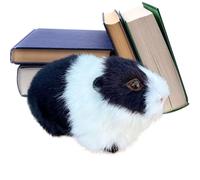 Genérico Hamster Stuffed Animal - Hamster Plush | Realistic Cuddle Cartoon | Small Hamsters Doll Stuffed Toys for Dorm Bedroom Sofa Shelf Bedtime Birthday Christmas Kids Teens