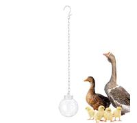 Genérico Hanging Peck Toy, Chain Dispenser Feeder, Interactive Pendant