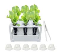 Genérico Hidropónico Cultivador | Contenedor Antideslizante Visible Que Ahorra Espacio,Jardín Vertical para Verduras | para Germinar, Cultivar Plantas y Flores en Hogar, Apartamento o Balcón