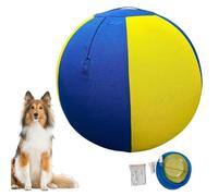 Generico Hüteball Hunde - 45 cm aufblasbarer Ball mit Pumpe, Hundespielball Training und Beschäftigung - Rasen, Park, Garten, Hof, Spielzimmer