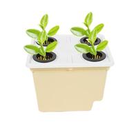 Genérico Hydroponic Planter - 11.81 Inch Soilless Cultivation Greenhouse Container | Hydroponic Grow Bucket with Siphonic Drainage for Indoor, Outdoor, Windowsill, Balcony,