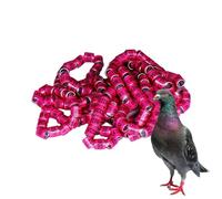 Genérico Identification Rings, 50 piezas Bird Foot Bands, Safe Birdhouse Accessories for Racing Palomas, Parrots, Chicks, Ducks, Effortless Bird Management, 0,8 cm/0,31 pulgadas