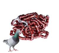 Genérico Identification Rings, 50 piezas Bird Foot Bands, Safe Birdhouse Accessories for Racing Palomas, Parrots, Chicks, Ducks, Effortless Bird Management, 0,8 cm/0,31 pulgadas