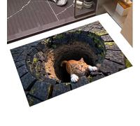 Genérico Indoor Entrance Door Mat - Non Slip Floor Rug for Home Entryway | Fiber with Rubber Backing, Dirt Trapping Absorbent Carpet for Hallway Kitchen 23.62x15.75 in