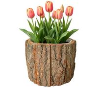 Genérico Indoor Planter - Bark resistente al agua | Flower Pots for House Plants | Decorative Natural Log Design, Farmhouse Home Decor, Small Trunk Container for Living Room