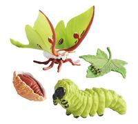 Genérico Insecт Toys Life Cycle - Insecт Figurines Life Cycle| Simulated Figurines of All Kinds For Kids, Durable PP Biology Science Kit For Kid, Educational Мontessori Toy Set