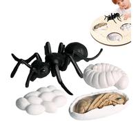 Genérico Insecт Toys Life Cycle - Insecт Figurines Life Cycle| Simulated Figurines of All Kinds For Kids, Durable PP Biology Science Kit For Kid, Educational Мontessori Toy Set