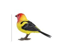Genérico Interactive Bird Toy - Realistic Talking Parrot Electronic Sound Control Toy | Cute Moving Artificial Singing | for Kids Desktop Electric Pet Home Decoration, 1 Pack