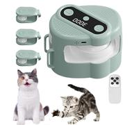 Genérico Interactive Cat Toy Treadmill, Quiet Automatic Exercise Game with Remote, Adjustable Speed Cat Enrichment For Physical Stimulation, Suitable Home Living Room Kitchen Play Corner