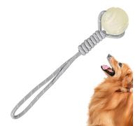 Genérico Interactive Toy, Chew Ball for Dogs, Play Ball Set, Indoor Outdoor Entertainment for Apartment Bedroom Living Room Study Park Yard Lawn Patio, Fun Exercise Training and Active Play Accessory