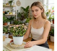 Genérico Juego De Bandejas De Base para Contenedores De Plantas, con Material Transparente, Estándar De 5 Piezas, Platillo De Captura De Agua para Maceteros, Placa De Recolección De De Jardinería,